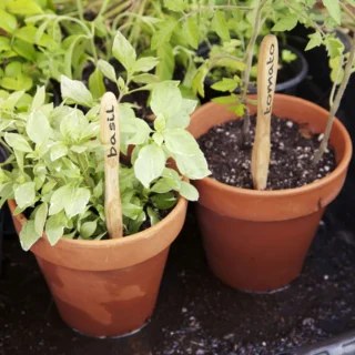 Ličila Chanel: jesenska kolekcija 2013