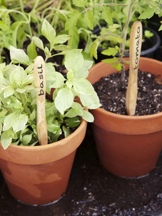 Top 23 načinov uporabe odslužene zobne ščetke