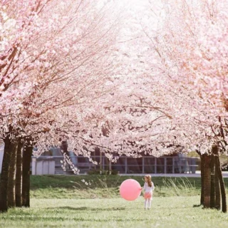 Kako … ustvariti enostavno manikiro s češnjevimi cvetovi