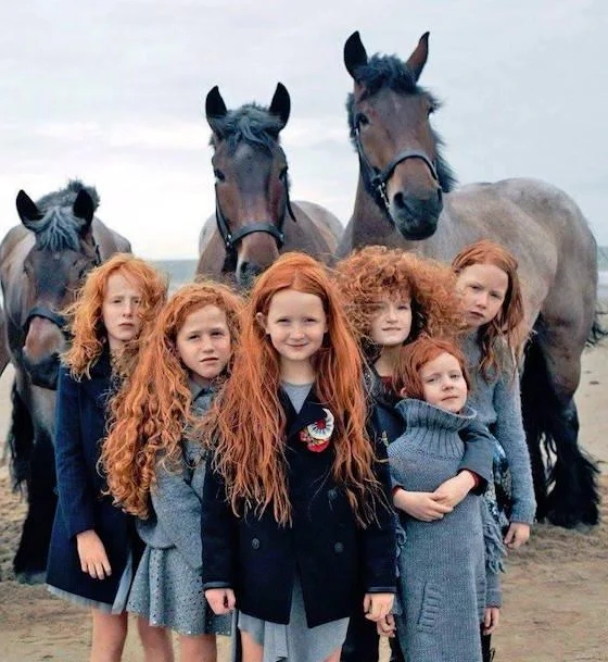 TOP 7 … domačih pripravkov za goste in močne lase