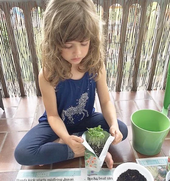 Stajliš vrtnarjenje v stanovanju