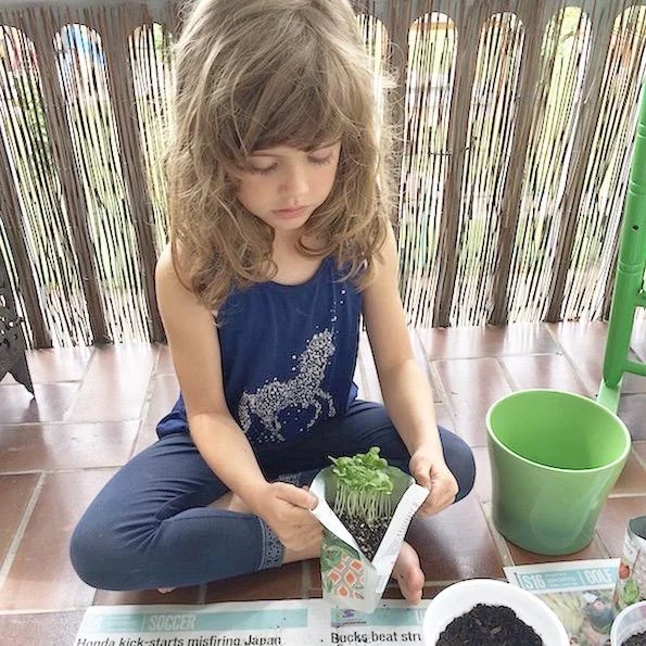 Stajliš vrtnarjenje v stanovanju