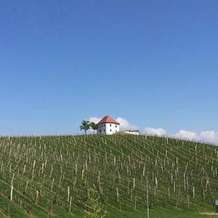 Zlati Grič: pravljična ‘toskana’ v Sloveniji