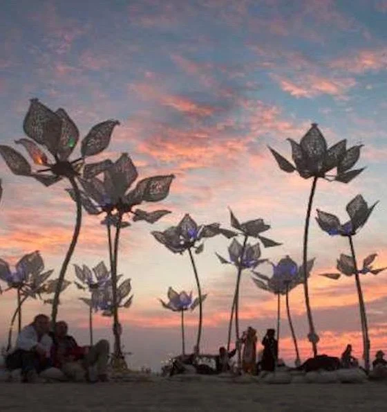 Trend: poletni glasbeni festivali 