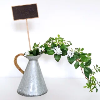 L’Occitanova garažna razprodaja: prenova stanovanja 1