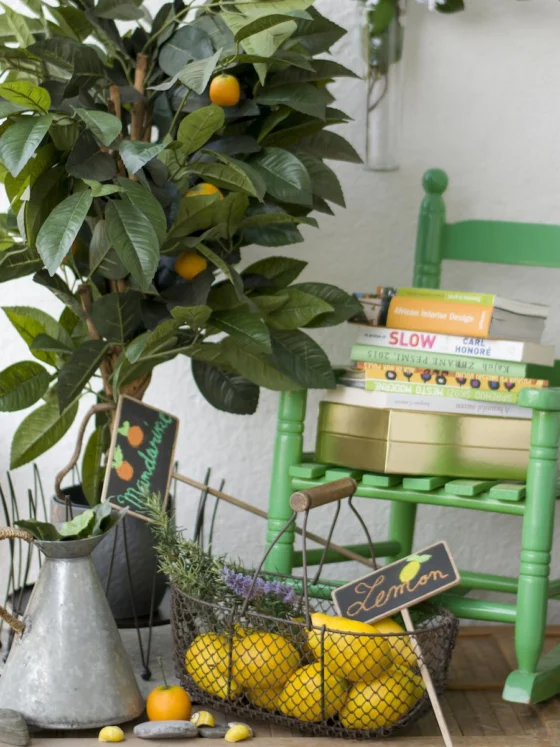 L’Occitanova garažna razprodaja: prenova stanovanja 1