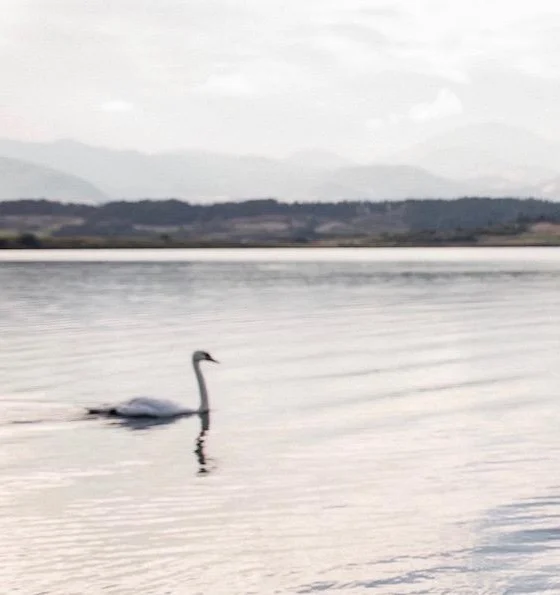 Najlepša profi božična fotografiranja