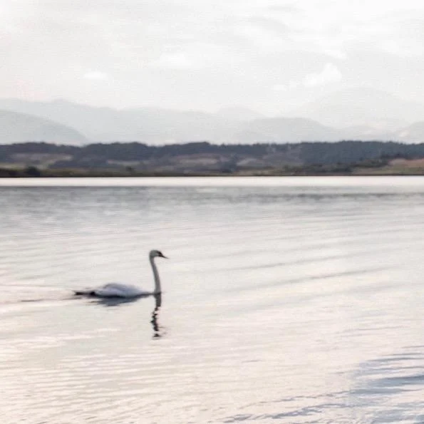 Najlepša profi božična fotografiranja