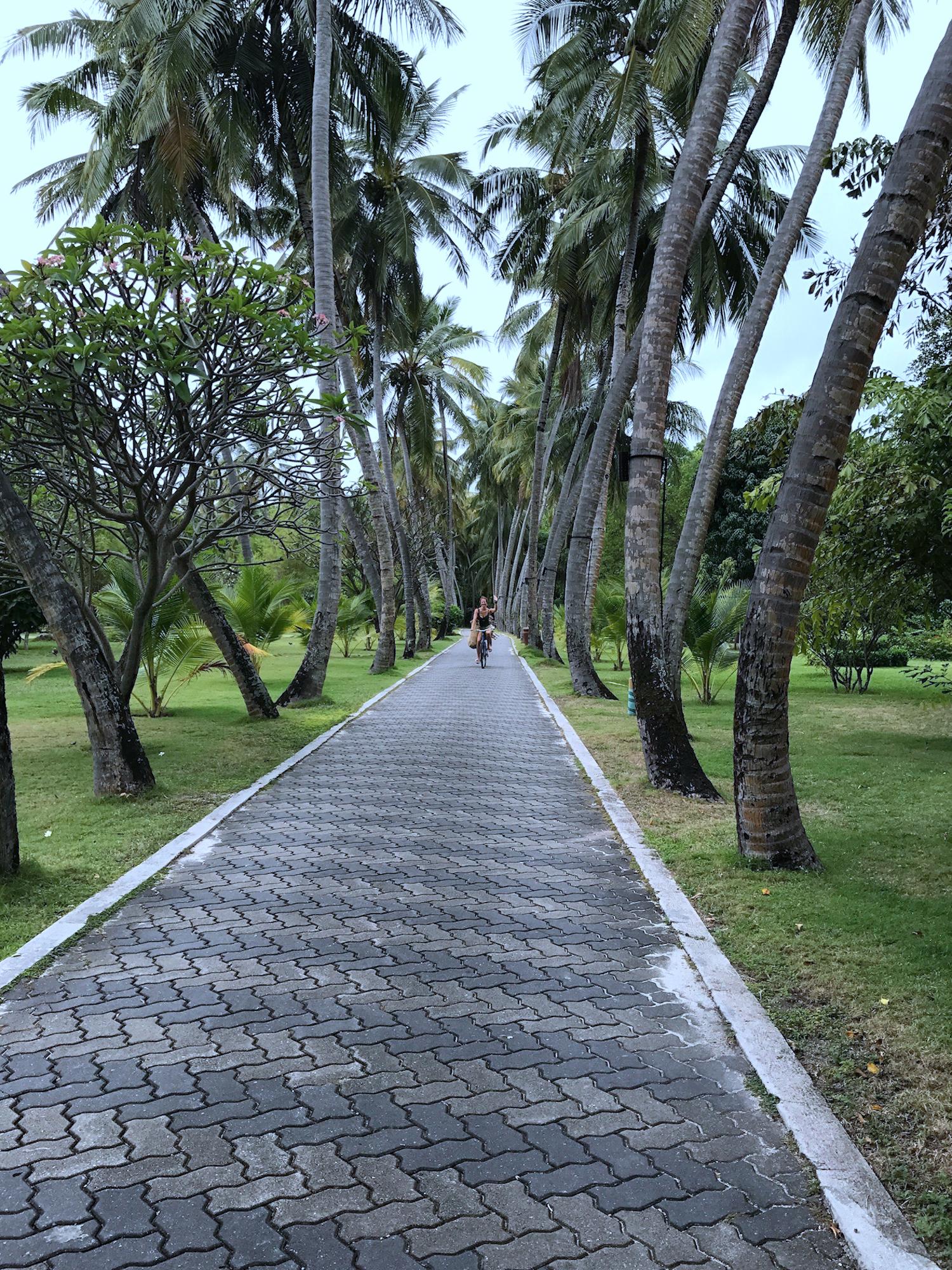 Sun Island Resort Maldives bike ride