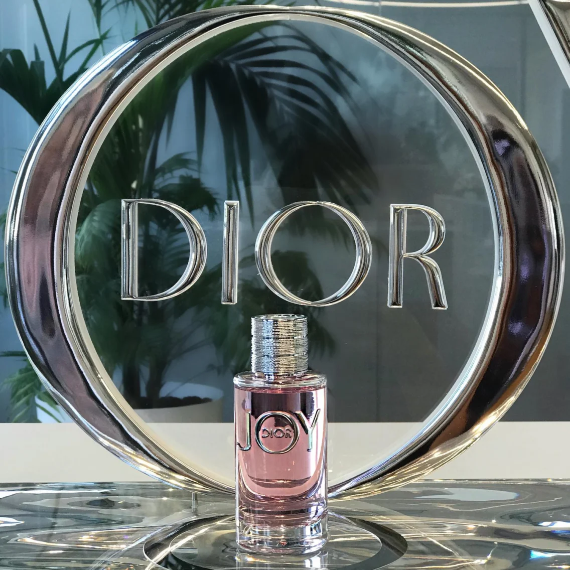 Nova zvezda med dišavami: Joy by Dior