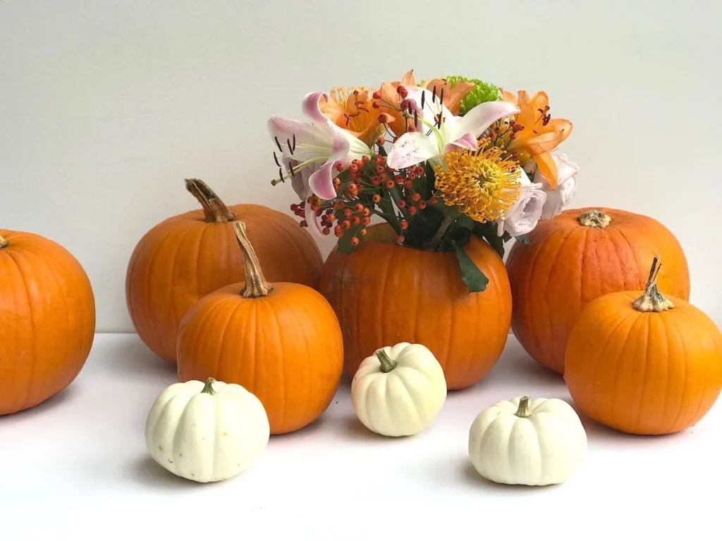 noc carovnic halloween zabava beautyfullblog eko