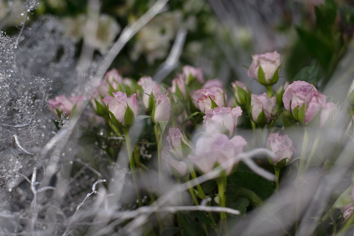 cvetlicno druzenje gardenia delavnica darilni bon beautyfull blog