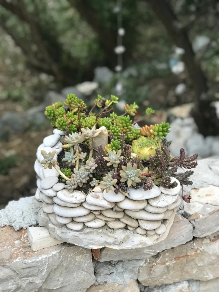 kako skrbeti za sočnice nika. veger beautyfull blog IMG_0575