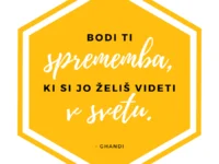 medex med slovenski cebela beautyfull blog 3