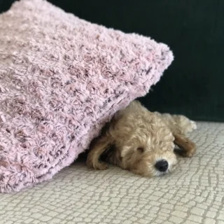 Dobri triki za bolj ekološko strojno pranje perila