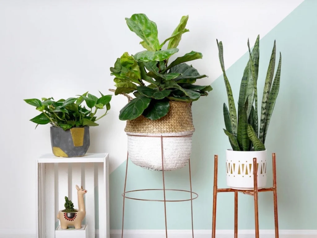 DIY moderni lonci za rože beautyfull blog