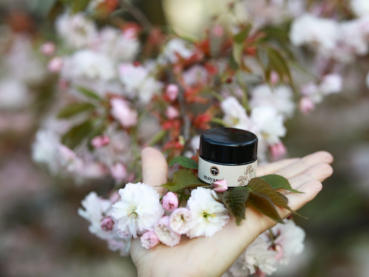 Mayarula eko naravna kozmetika Nika Veger Beautyfull blog krema za okrog oči češnjevi cvetovi