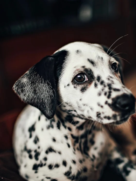Vse, kar moraš vedeti o hiperpigmentaciji in o tem, kako jo odpraviti