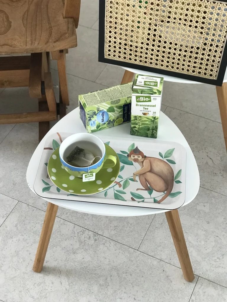 razstrupljanje suho krtacenje beautyfull blog čaji