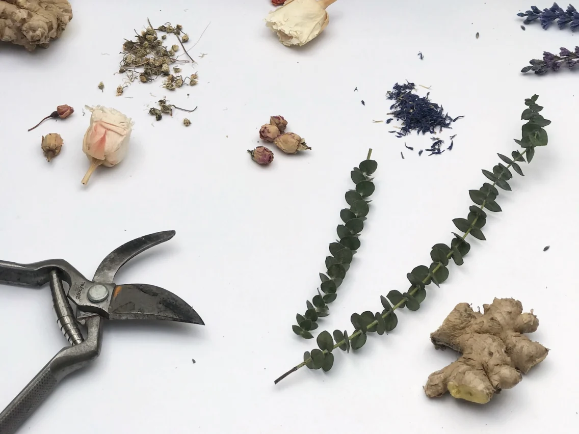 Evkaliptus: tako bo vejica dišala dlje