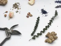 evkaliptus vejica tuš prha nika veger beautyfull blog dm