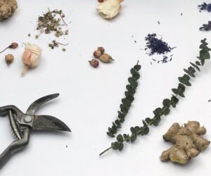 evkaliptus vejica tuš prha nika veger beautyfull blog dm