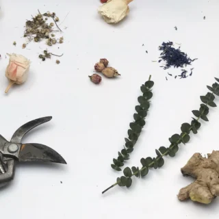 Tematska zabava: miške