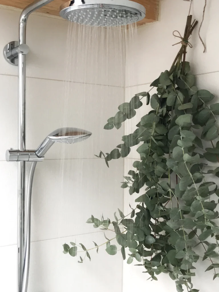 evkaliptus vejica tuš prha nika veger beautyfull blog 