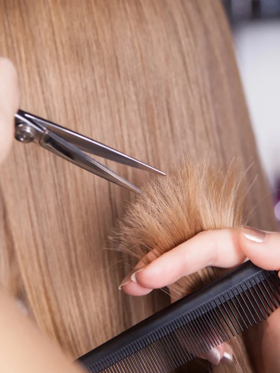 Ugodni datumi za striženje las po luni za 2024