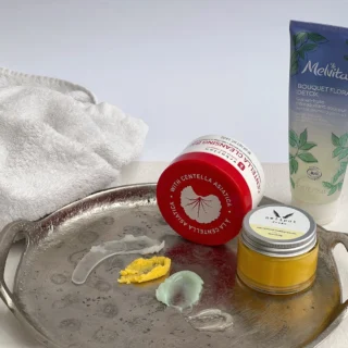 Konjac gobica — vse kar moraš vedeti in katere priporočam