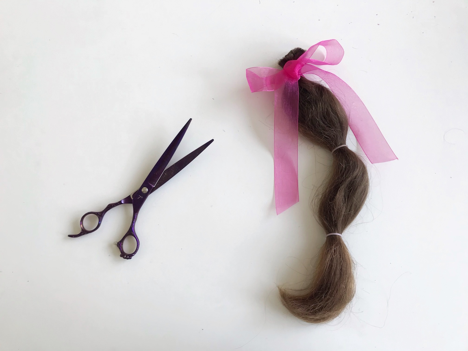 Doniranje las za lasulje Nika Veger Beautyfull Blog 1
