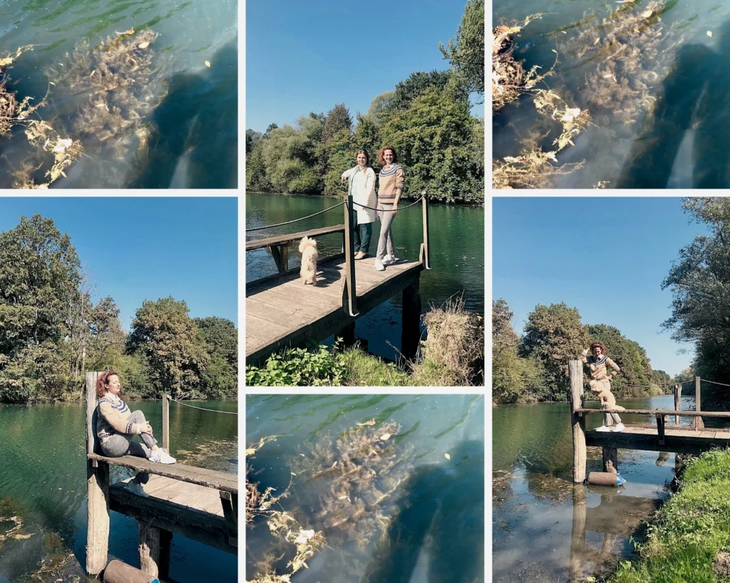 eko turizem posestvo trnulja beautyfull blog nika veger barje ljubljana