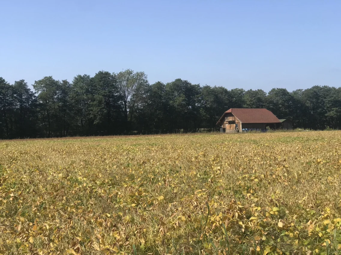 Eko turizem: Posestvo Trnulja