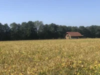 eko turizem posestvo trnulja beautyfull blog nika veger