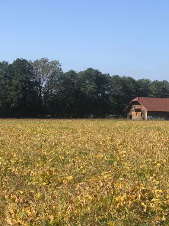 Eko turizem: Posestvo Trnulja