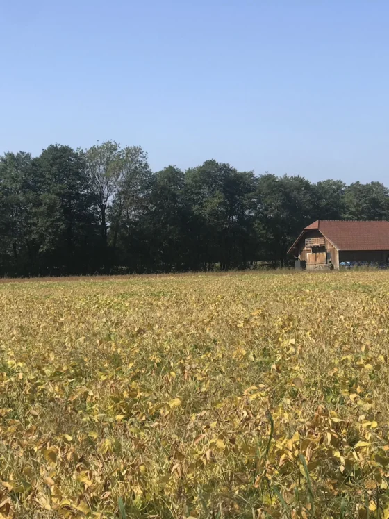 Eko turizem: Posestvo Trnulja