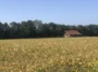 eko turizem posestvo trnulja beautyfull blog nika veger