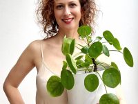 nika veger azijski vodni popnjak centella asiatica korejsko zelišče