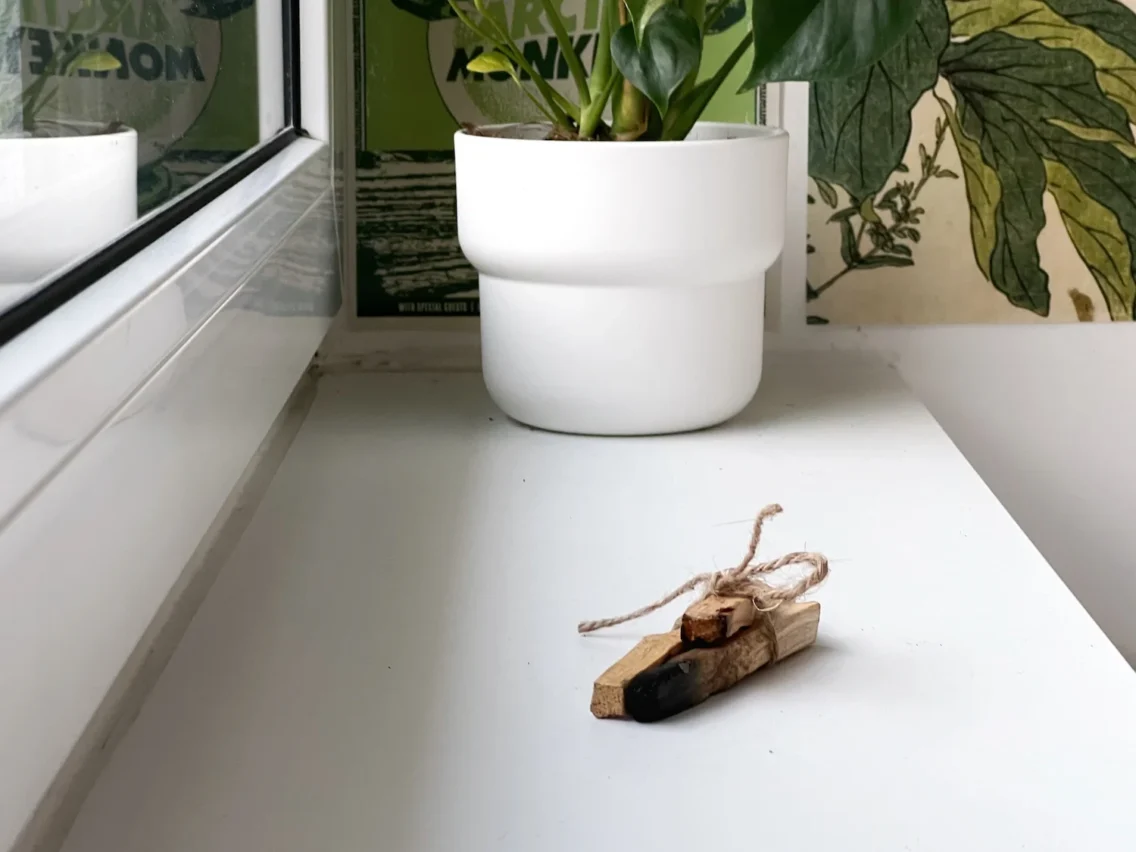 Palo Santo, vse kar moraš vedeti in zakaj ti uporabo odsvetujem