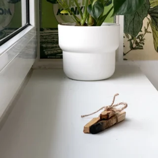 Konjac gobica — vse kar moraš vedeti in katere priporočam