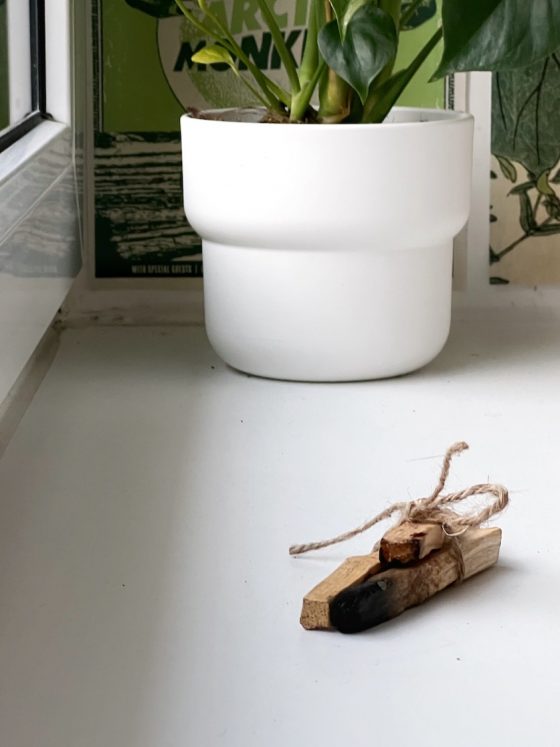 Palo Santo, vse kar moraš vedeti in zakaj ti uporabo odsvetujem