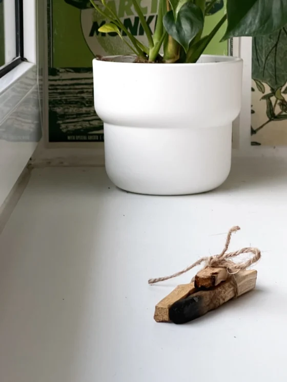 Palo Santo, vse kar moraš vedeti in zakaj ti uporabo odsvetujem