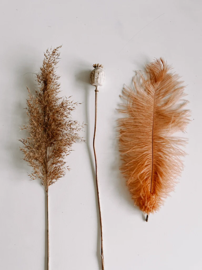 tipalke DIY kostum otroci knjizni molj vesca nika veger