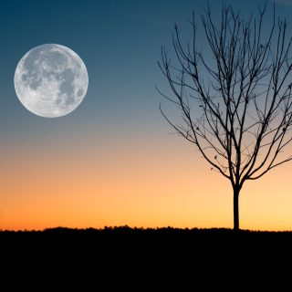 Kako uporabiti zeleni korektor za akne in zakaj je koristen?