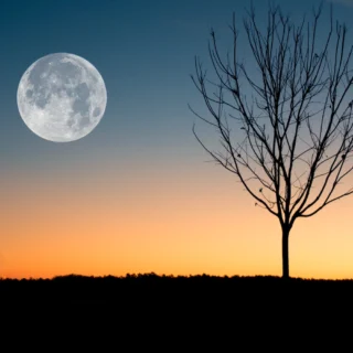 Kako uporabiti zeleni korektor za akne in zakaj je koristen?