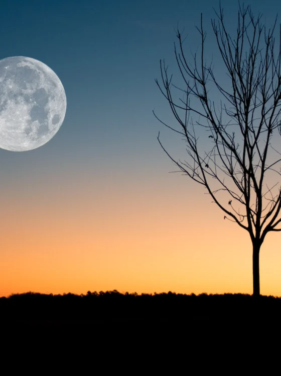 Ugodni datumi za striženje las po luni za 2023