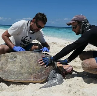 Koledar trajnostnih dogodkov, praznikov in pomembnih dni