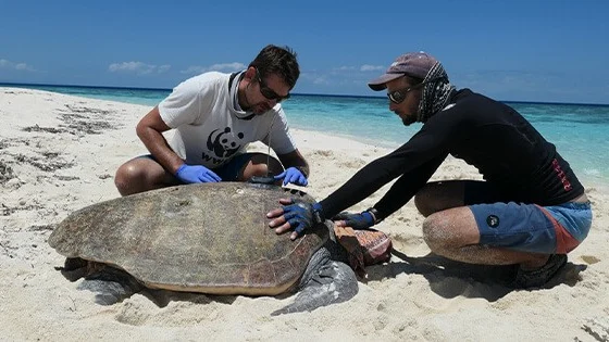Ekološka kozmetika Melvita nadaljuje svojo trajnostno zavezo