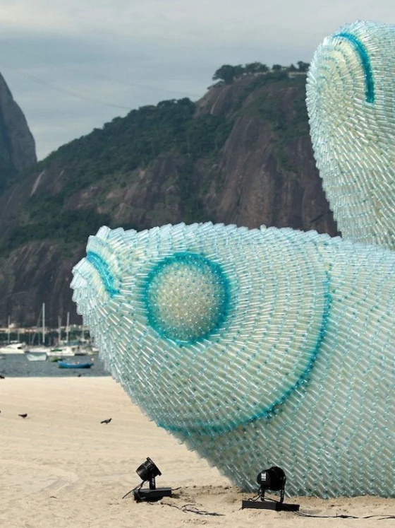 Trajnostni ribolov, potrebujemo ga kot riba vodo