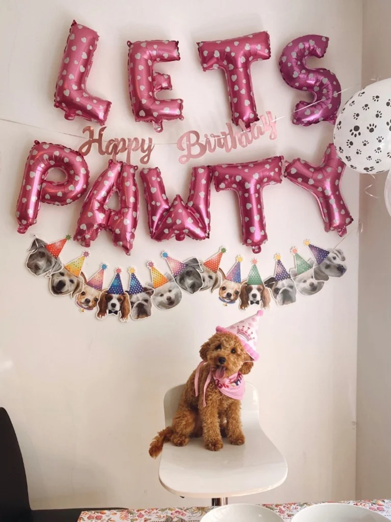 baloni okolje trajnost zabava nika veger beautyfull blog